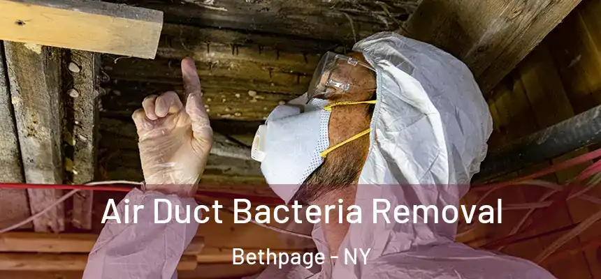 Air Duct Bacteria Removal Bethpage - NY