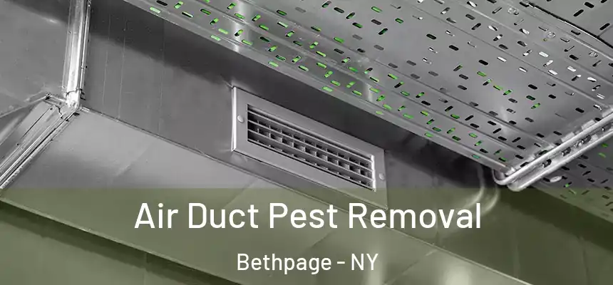 Air Duct Pest Removal Bethpage - NY