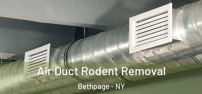  Air Duct Rodent Removal Bethpage - NY