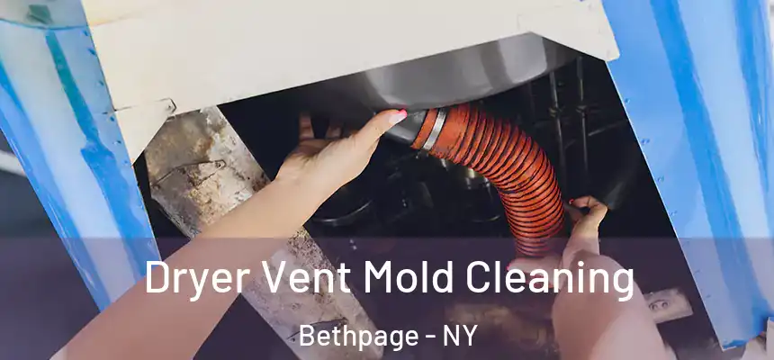 Dryer Vent Mold Cleaning Bethpage - NY