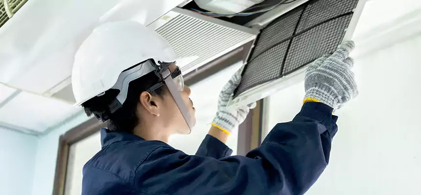 Our Mold & Mildew Removal from Air Ducts Services in Bethpage, NY