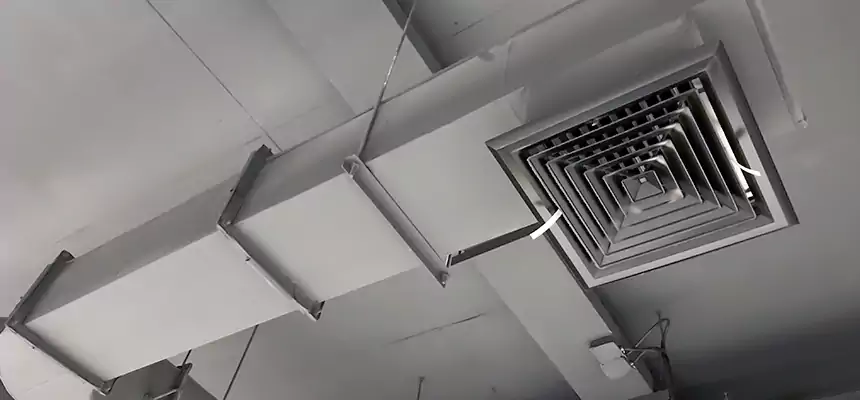 Our Pest Removal From Ducts Services in Bethpage, NY