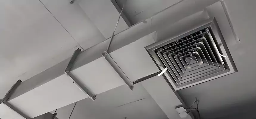 Our Rodent Droppings In Vents Services in Bethpage, NY