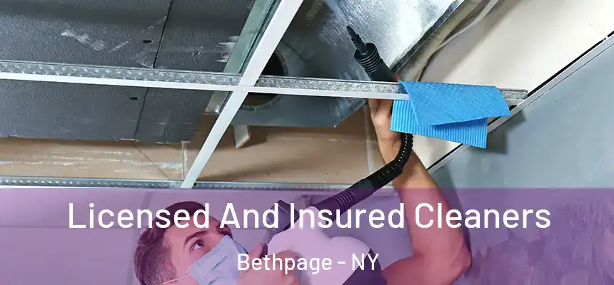Licensed And Insured Cleaners Bethpage - NY