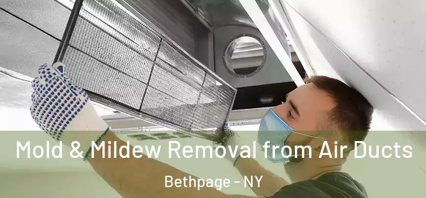 Mold & Mildew Removal from Air Ducts Bethpage - NY