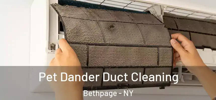 Pet Dander Duct Cleaning Bethpage - NY