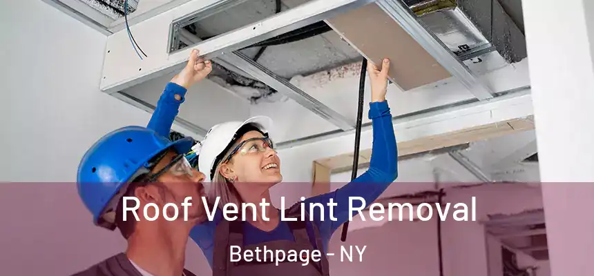  Roof Vent Lint Removal Bethpage - NY