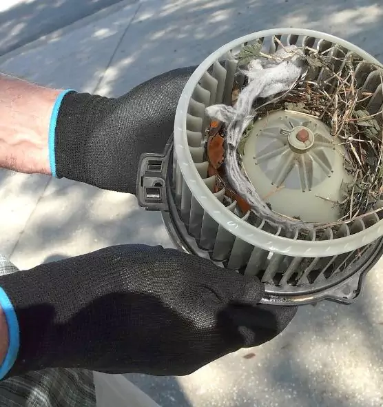 About Air Duct Mice Removal in Bethpage, NY