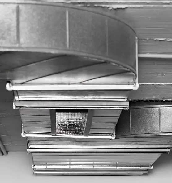 Professional Air Duct Pest Removal in Bethpage, NY