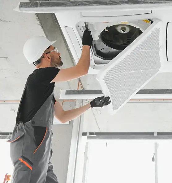 About Air Duct Rodent Removal in Bethpage, NY