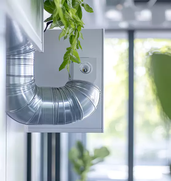 Professional Eco-Safe Dryer Vent Cleaning in Bethpage, NY