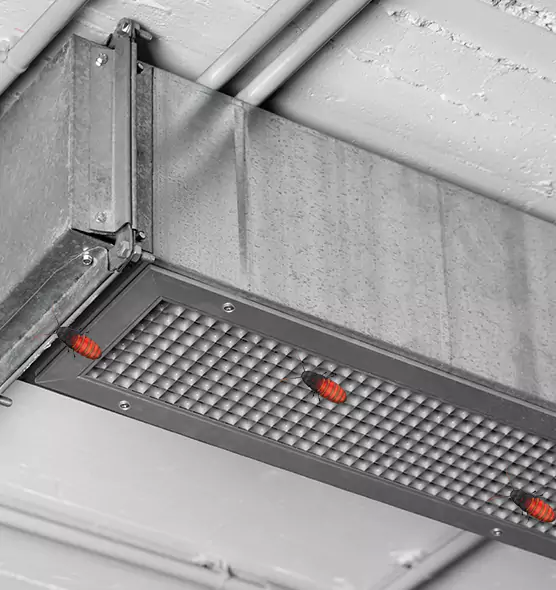 Affordable Insect Removal from Air Ducts in Bethpage, NY