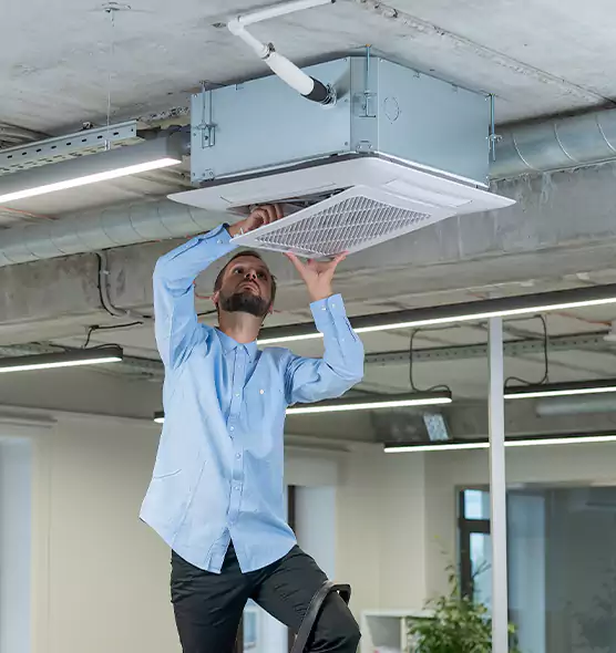 Advanced Rodent Droppings In Vents in Bethpage, NY