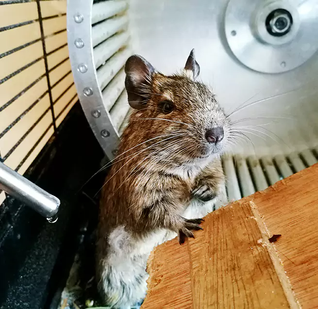 Why Homeowners & Businesses Trust Us Bethpage, NY