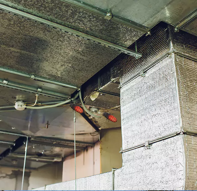 Why Homeowners & Businesses Trust Us Bethpage, NY?